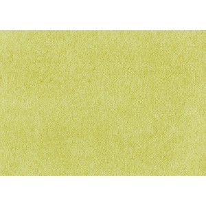 Вельвет Мисс (Miss)